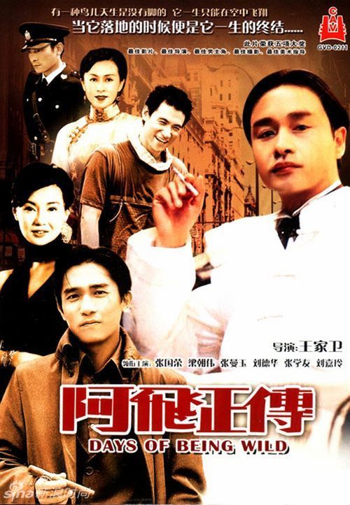 教育部学位认证报告图片